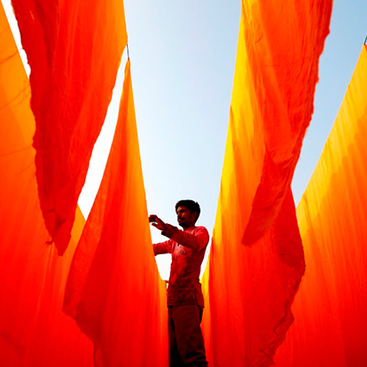 Image of Saffron